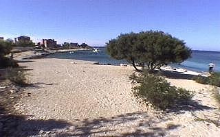lozica_plaz4.jpg (15697 bytes)