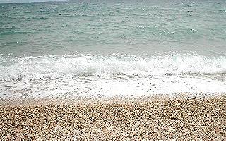 lozica_plaz6.jpg (23774 bytes)