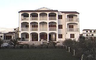maslina_vilka.jpg (13762 bytes)