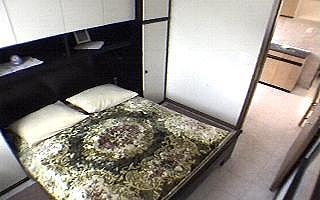 nikola_loznice2.jpg (16222 bytes)